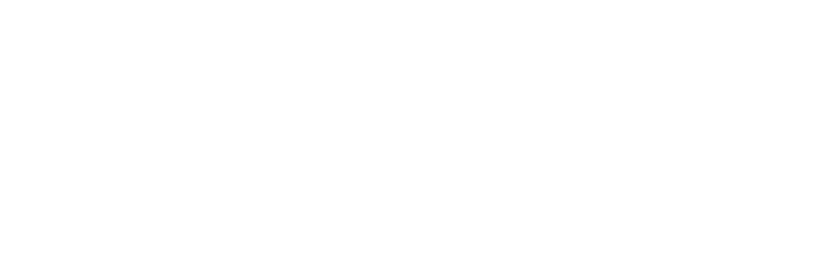 Ping